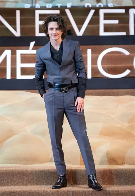 timothee chalamet prada|timothee Chalamet bold.